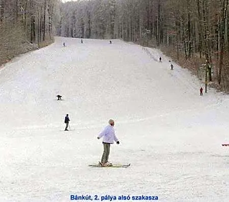 Szeleta